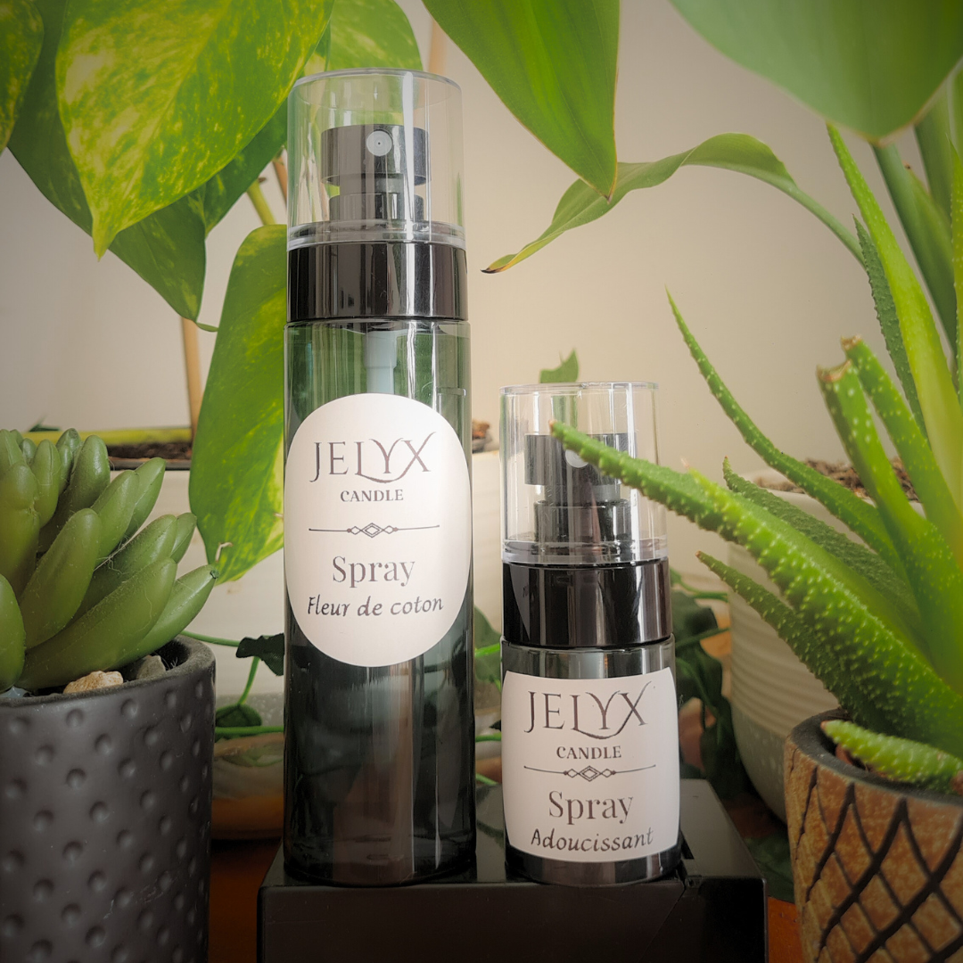 Spray parfumé 100ml