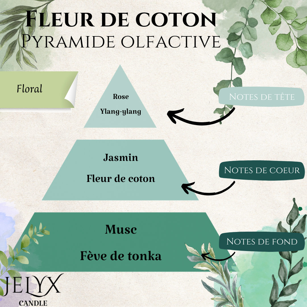 Fleur de coton
