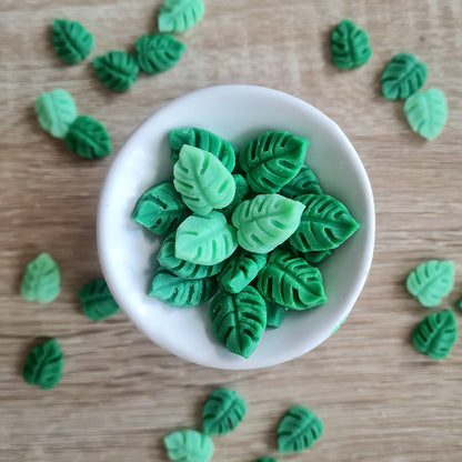 Minis Fondants Monsteras 30g