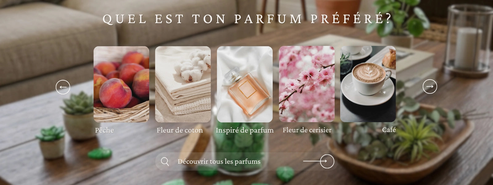 Découvrir tous les parfums de Grasse, pour bougies fondants artisanaux, made in France Carcassonne