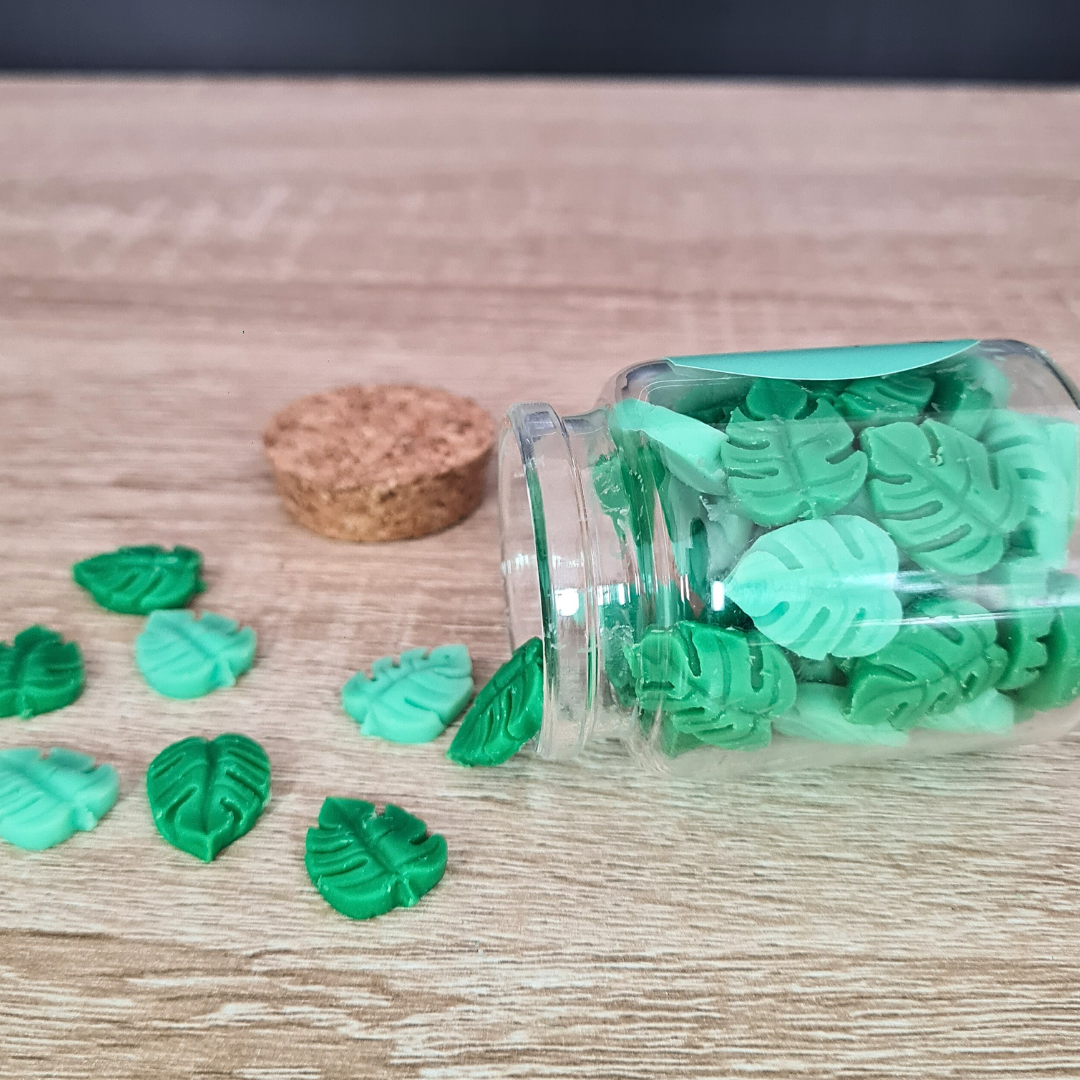 Minis Fondants Monstera 30g