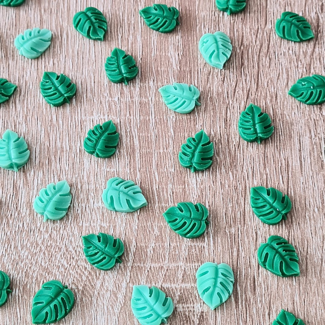 Minis Fondants Monstera 30g